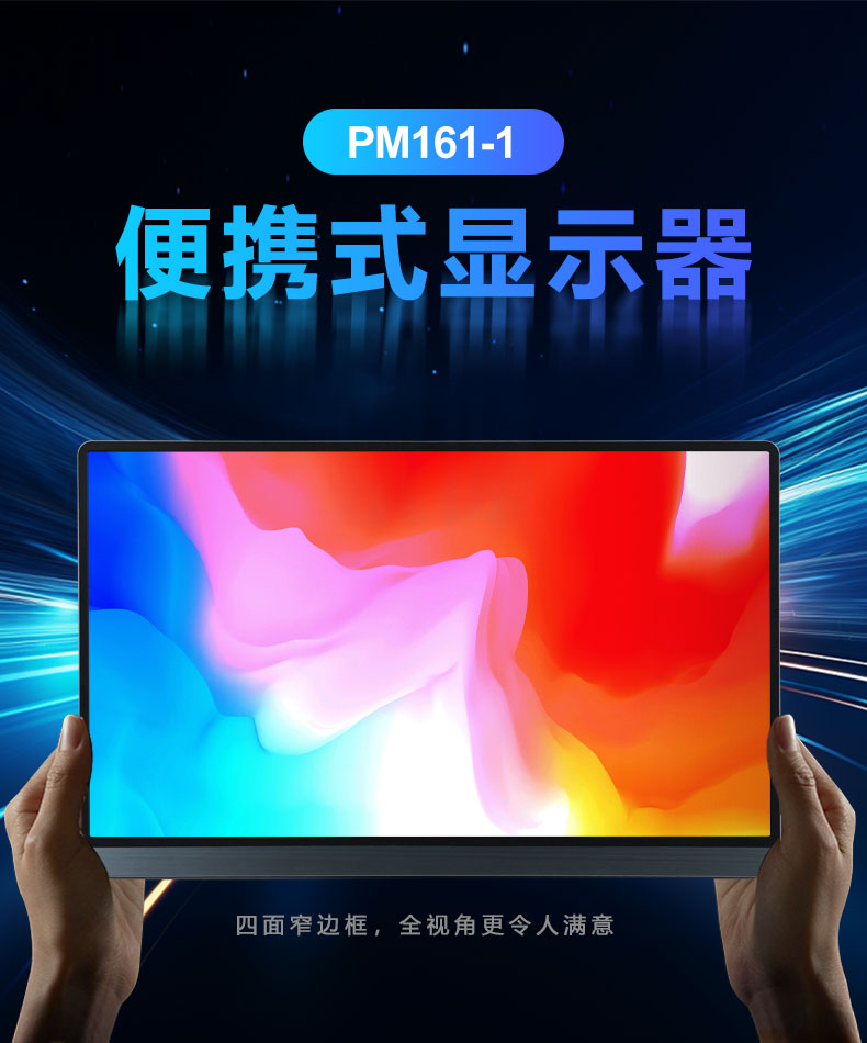 PM161-1(图1)